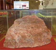 鐵板燒展廳包房設(shè)備展示--橢圓形鐵板燒